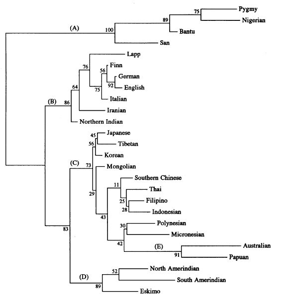 PhylogeneticTree